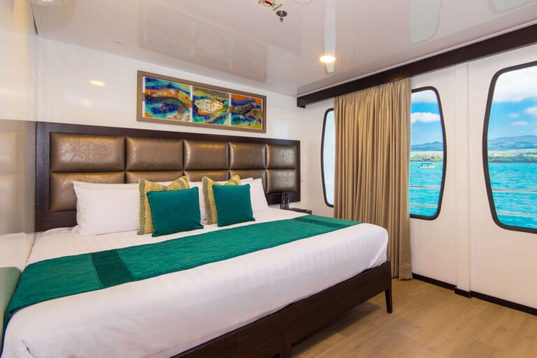 Double Cabin