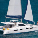 Leopard 46