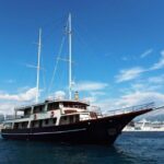 Motor Sailor LUNA