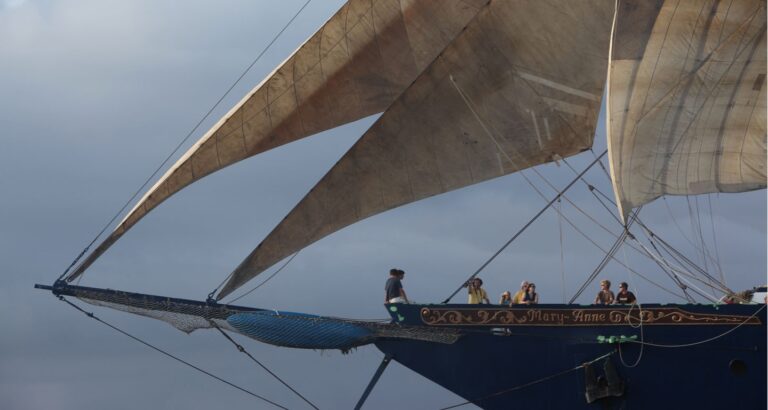 MARY ANNE II Bow