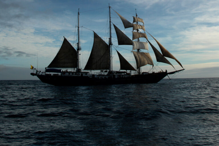 MARY ANNE II