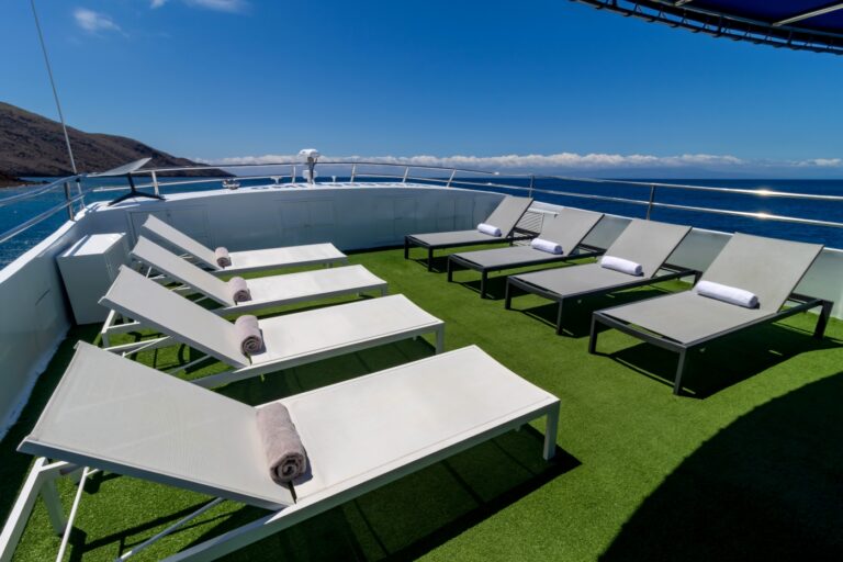 Exterior Relaxation Area