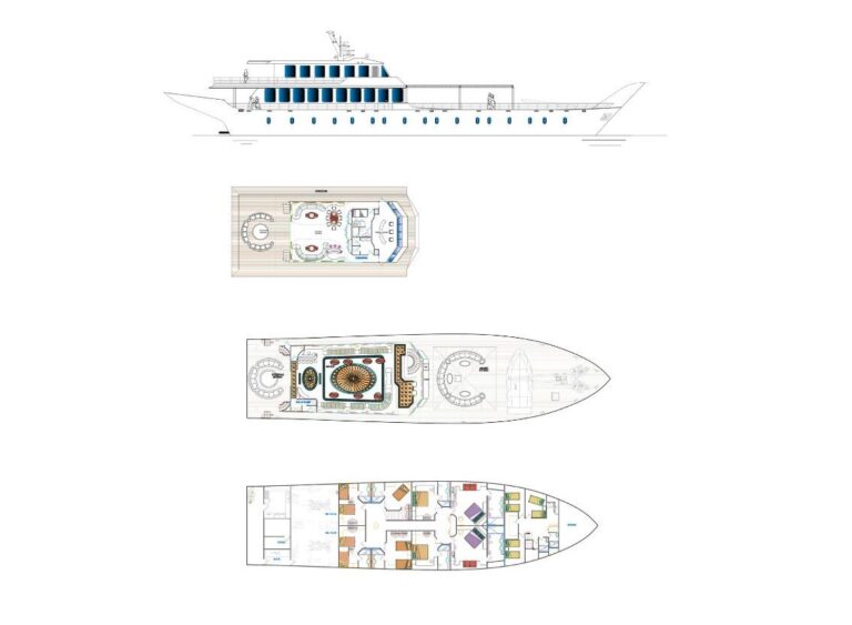 Layout