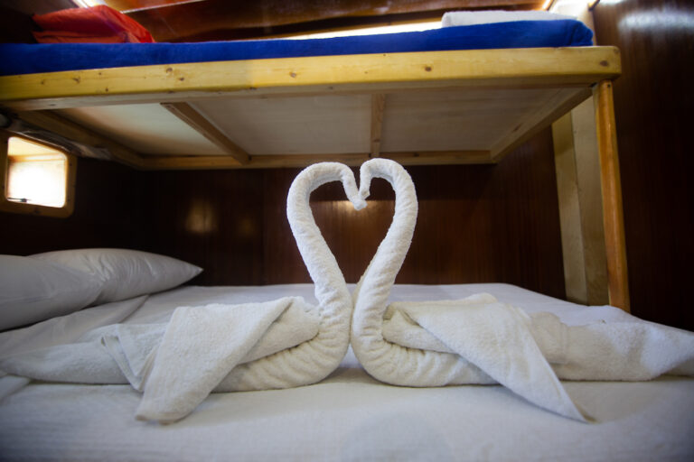 Guest Cabin Detail