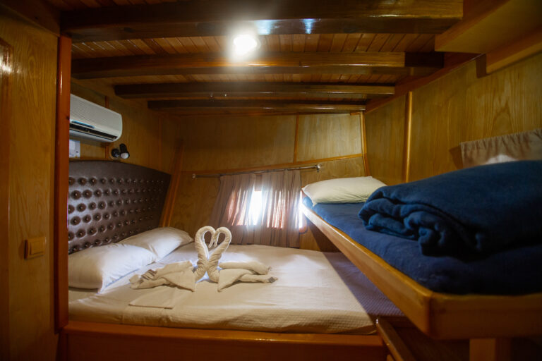 Guest Cabin