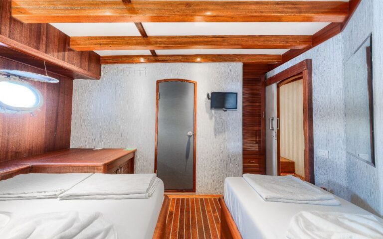 Accommodation