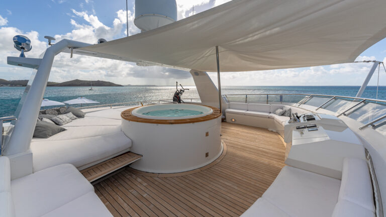 Jacuzzi And Subathing Area