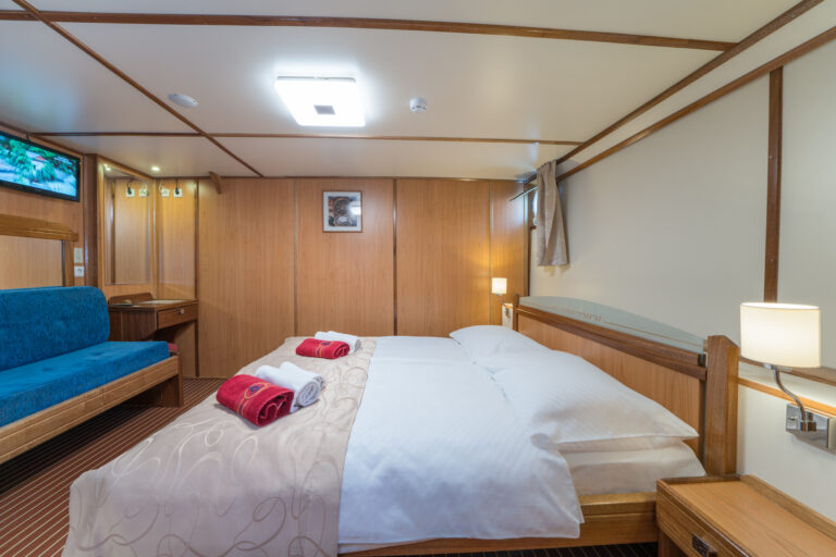 Guest Suite