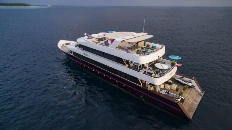 Azalea Cruise