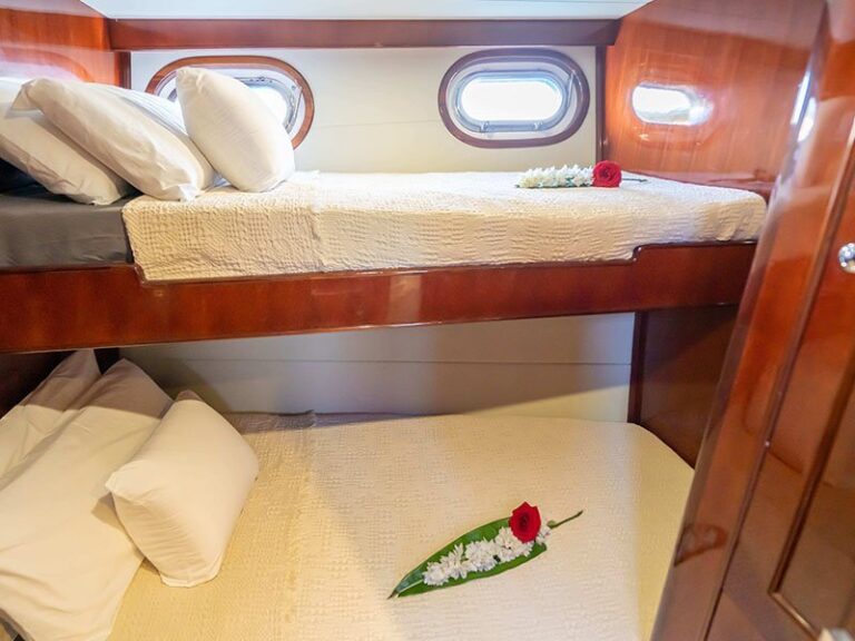 Bunk Cabin
