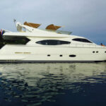 Grifo