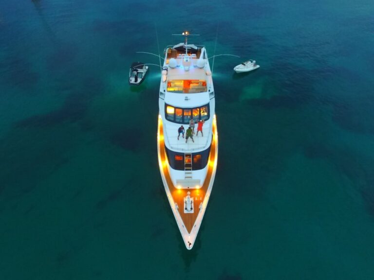 MY HEARTBEAT OF LIFE - Aerial View
