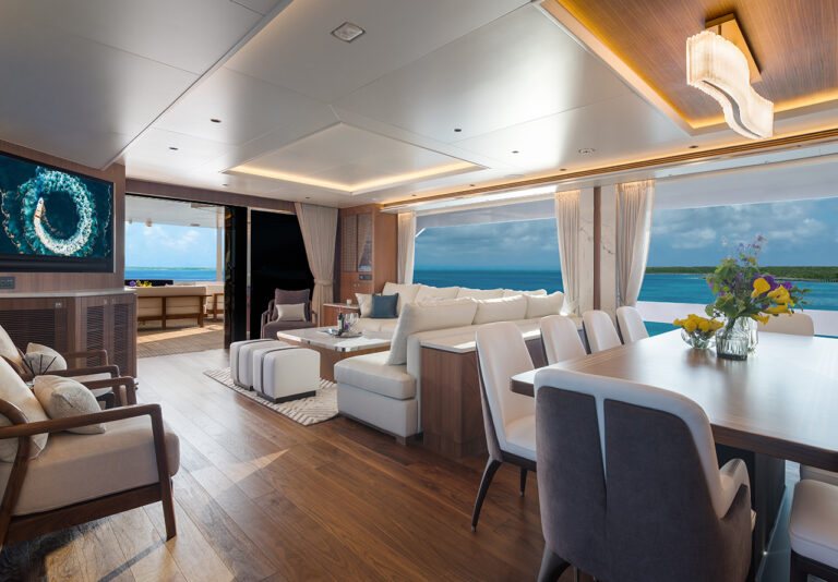 Main Salon View Aft