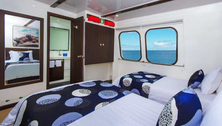 Twin Suite