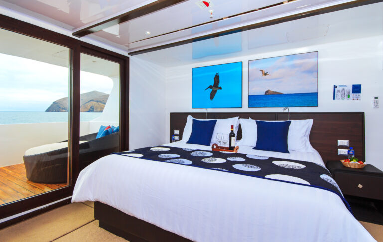 Guest Suite