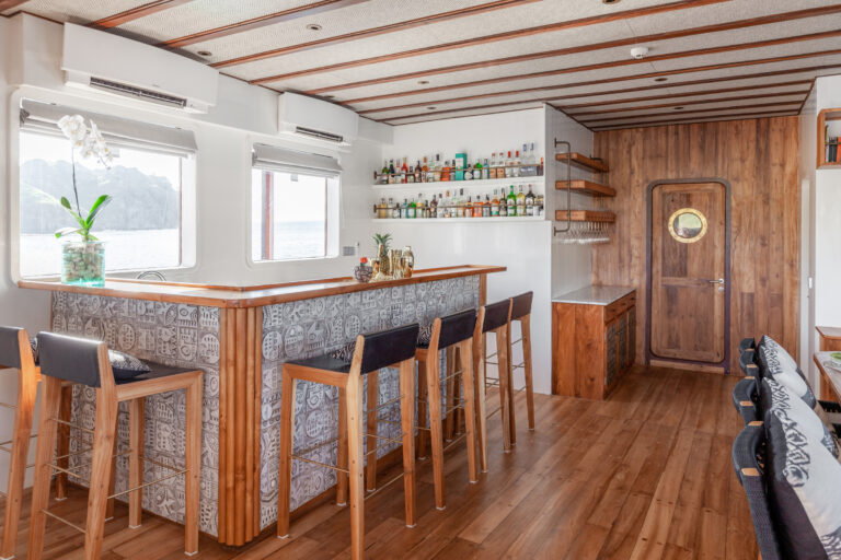 Main Salon Bar