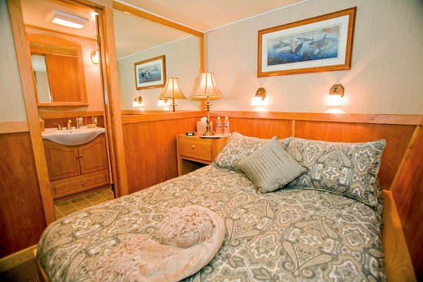 Guest Cabin