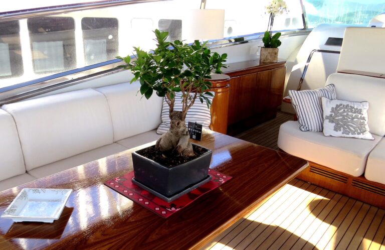 MY SANTA LUCIA FAST - Upper salon