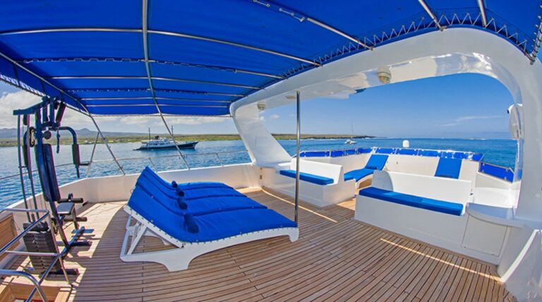 Sunbathing Area