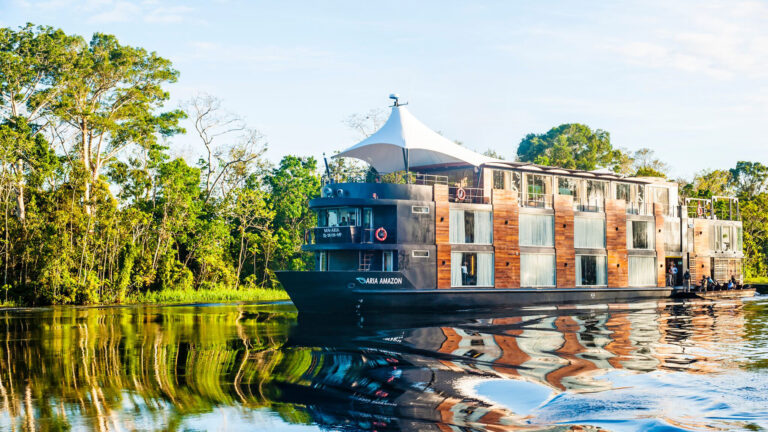 ARIA AMAZON Profile On The River