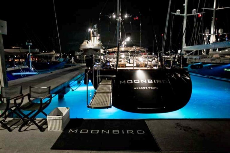 Moonbird - At Night