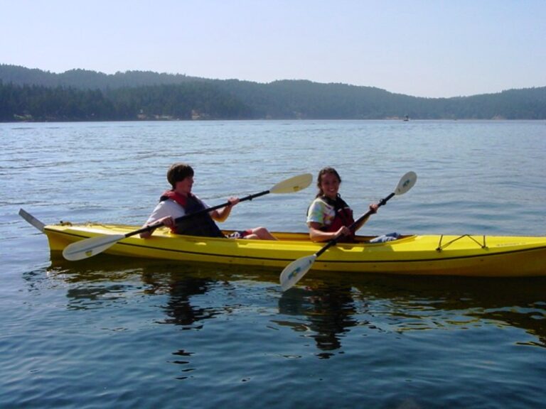 Morning Mist - Kayak (1)