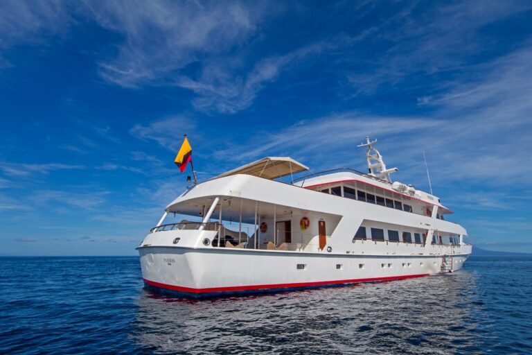 Motor Yacht PASSION - Stern View