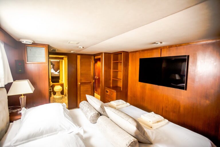Motor yacht AURIANE - VIP 2