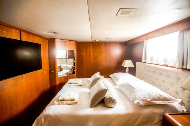 Motor yacht AURIANE - VIP