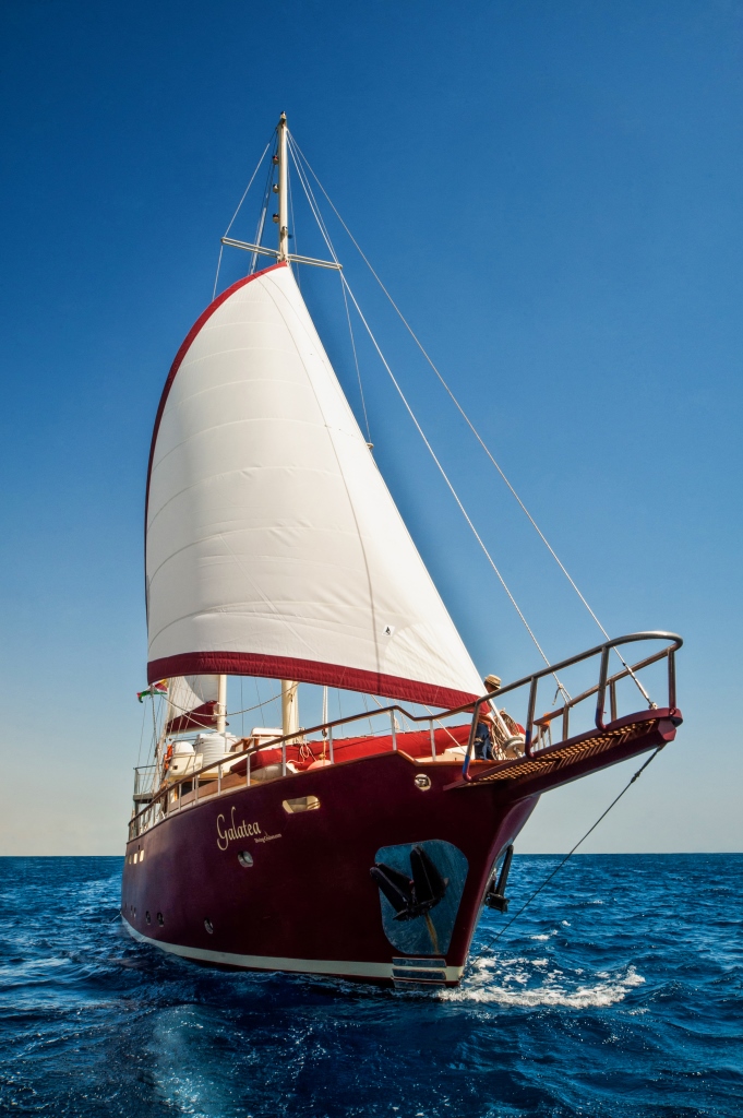 Motor yacht GALATEA - Bow