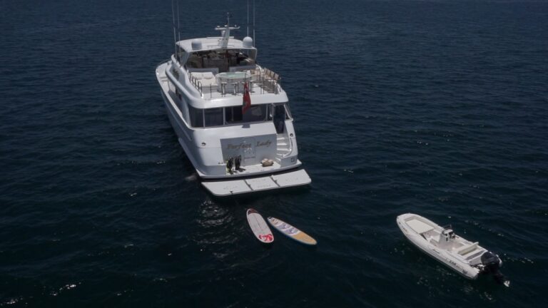 Motor yacht PERFECT LADY - Aft View