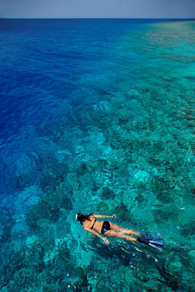 Motor yacht Sea Jaguar -  Snorkelling