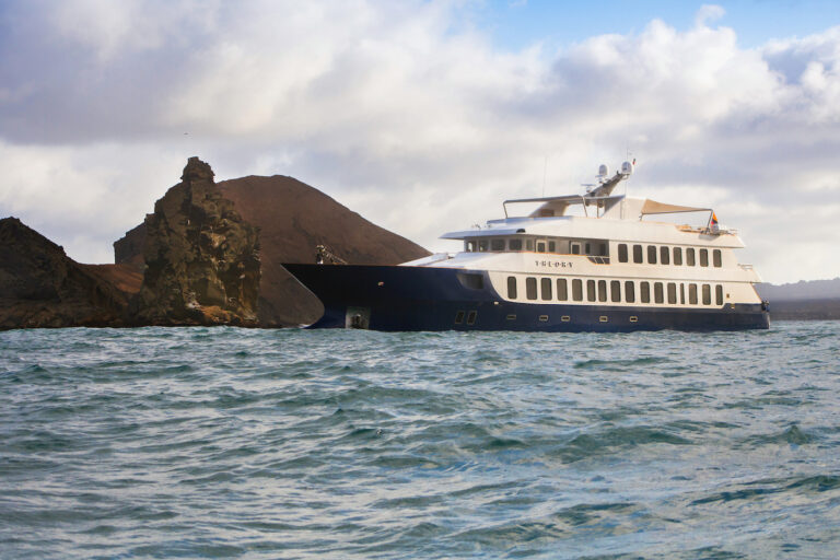 Motor Yacht THEORY