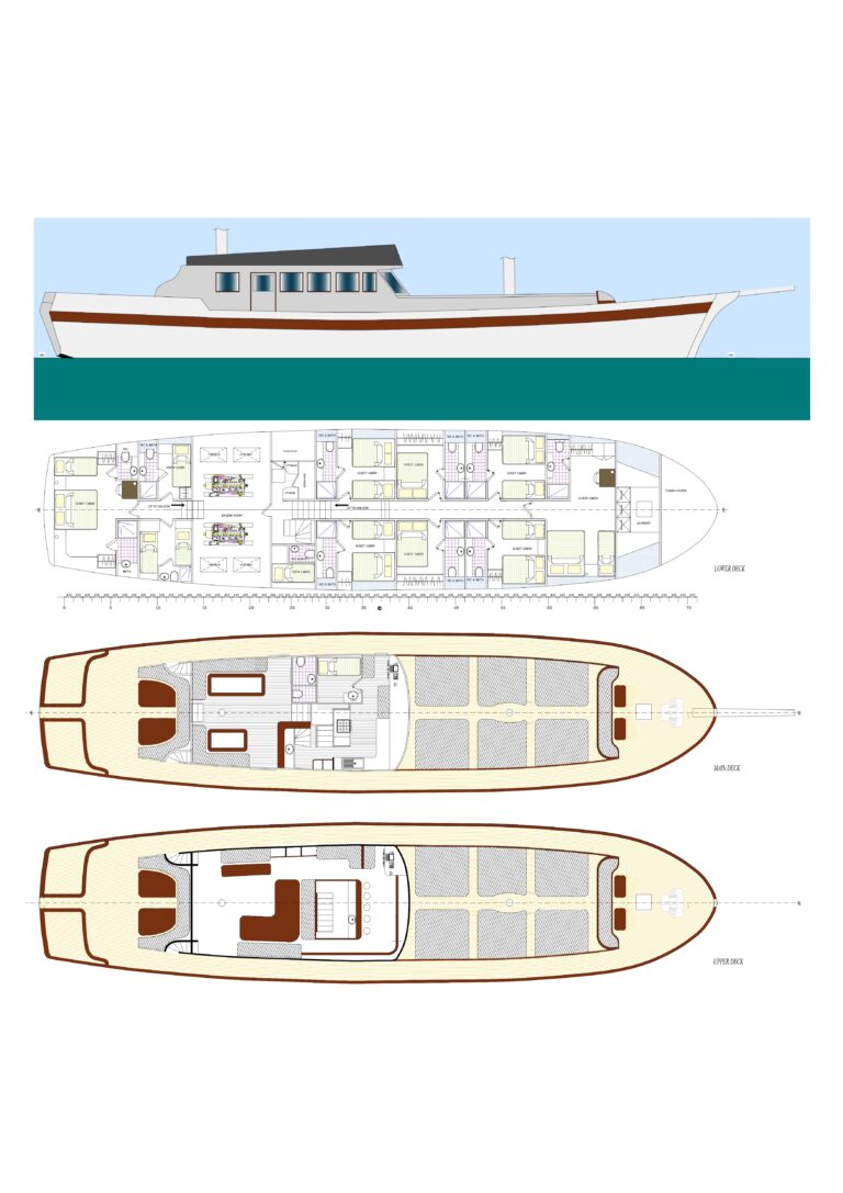 OGUZBEY Layout