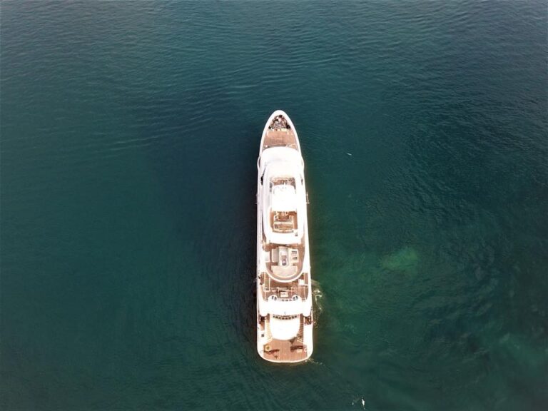 O'Ptasia - Top View