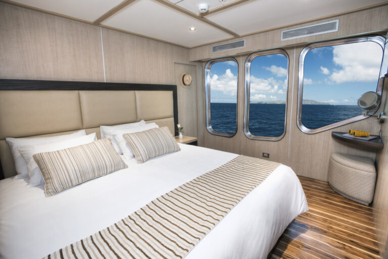 Guest Cabin - Double