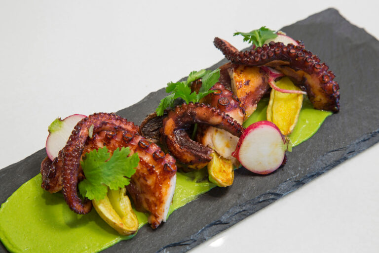 Octopus