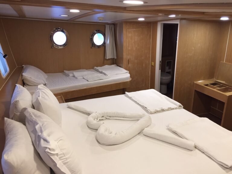 Guest cabin