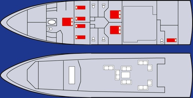PARADIS -  Layout