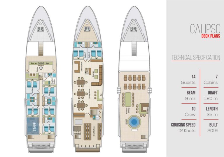 Layout
