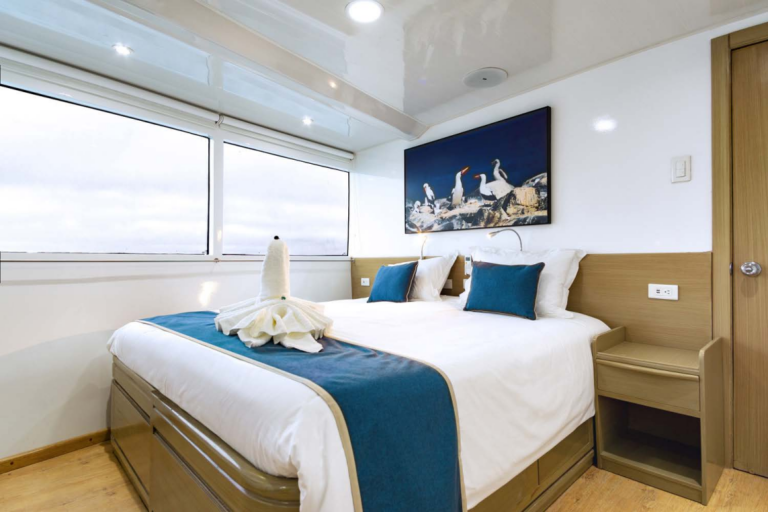 Guest cabin