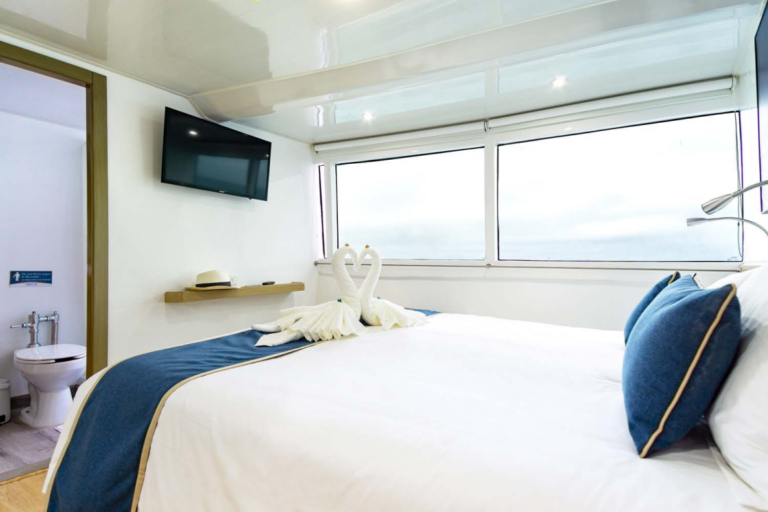 Guest cabin