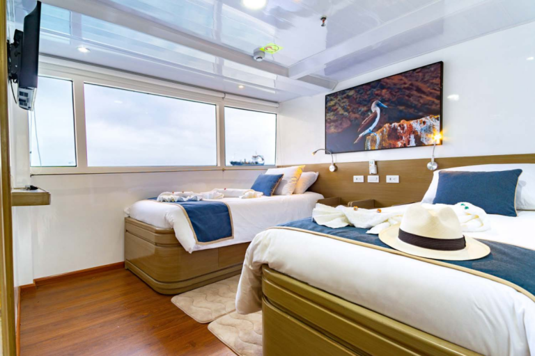 Guest twin cabin