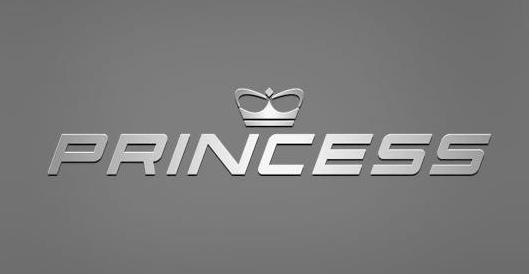 Princess Yachts