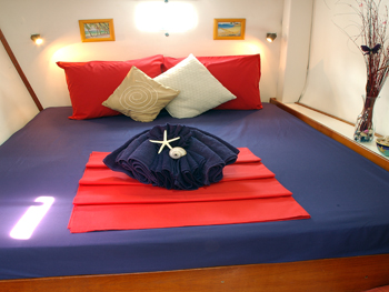 ReAction - Guest Cabin