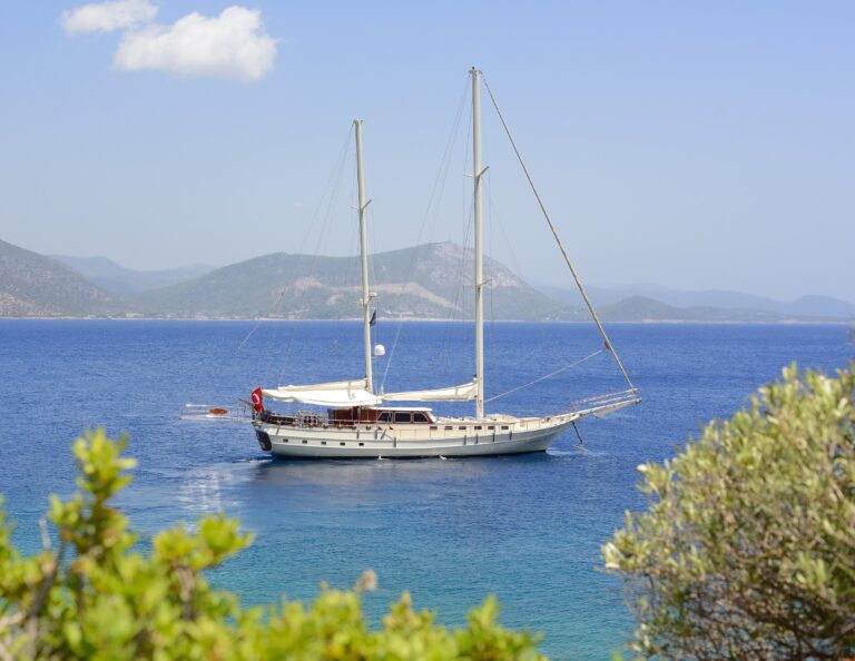 Cobra Yachting and Boatyard