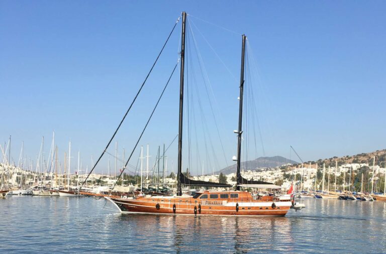 Exterior Profile