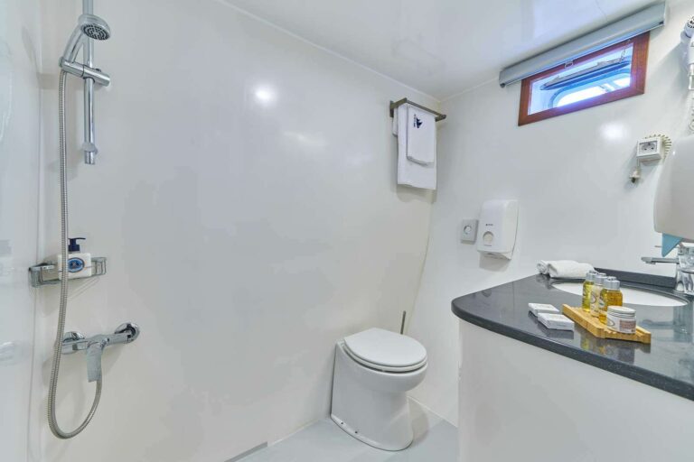 Ensuite Bathroom