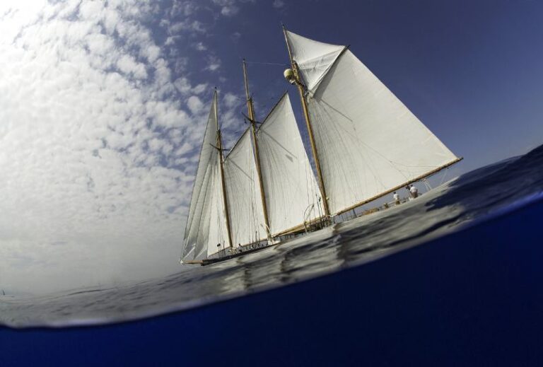 SHENANDOAH - Photo credit Rolex - Kurt Arrigo