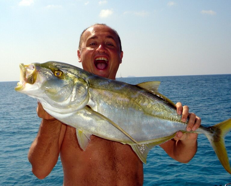 SOLSTICE -  Fishing